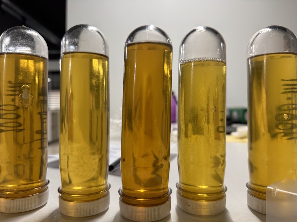 Lubrication Research